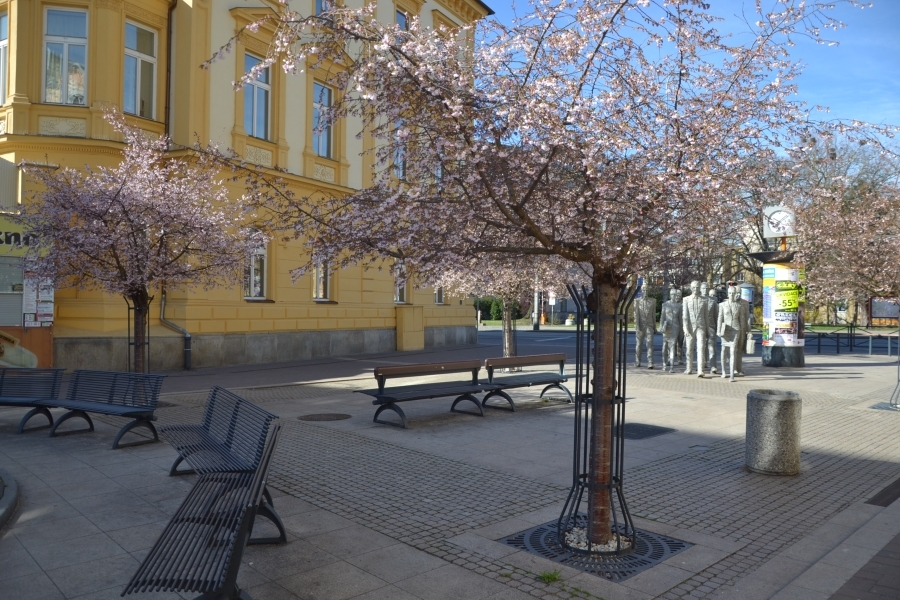 DSC_7789_64678