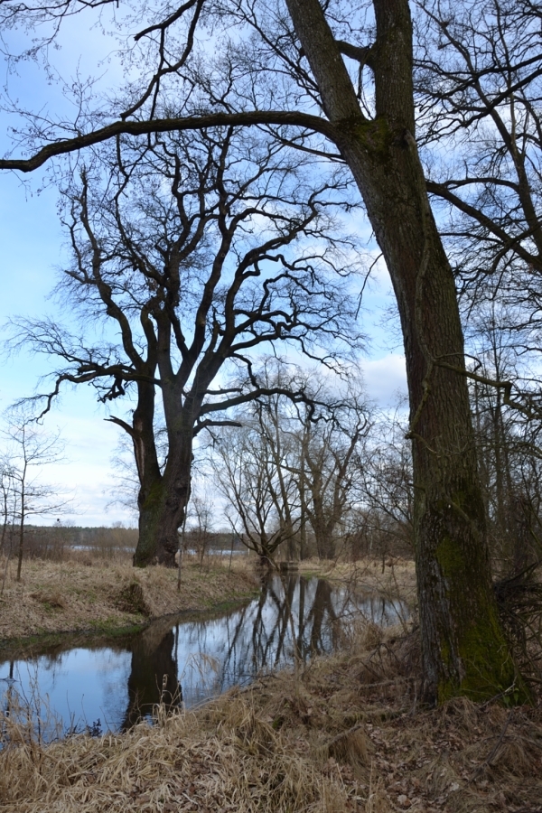 DSC_7638_64557
