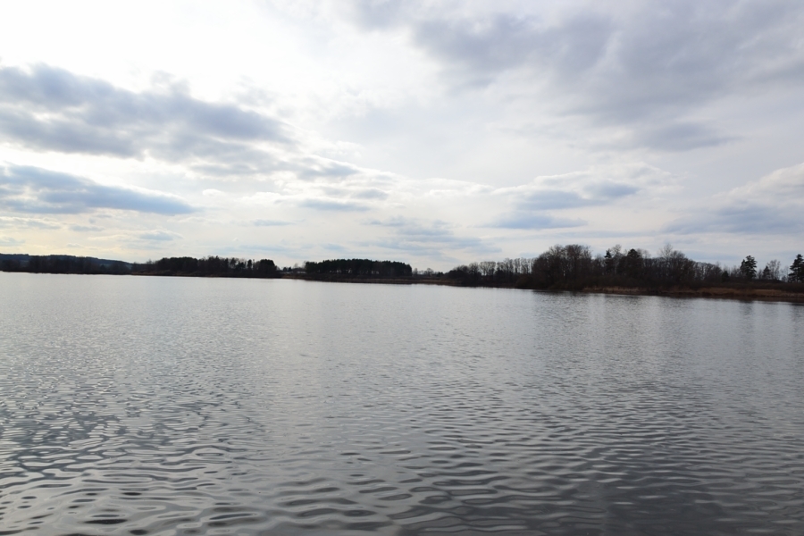 DSC_7645_64564