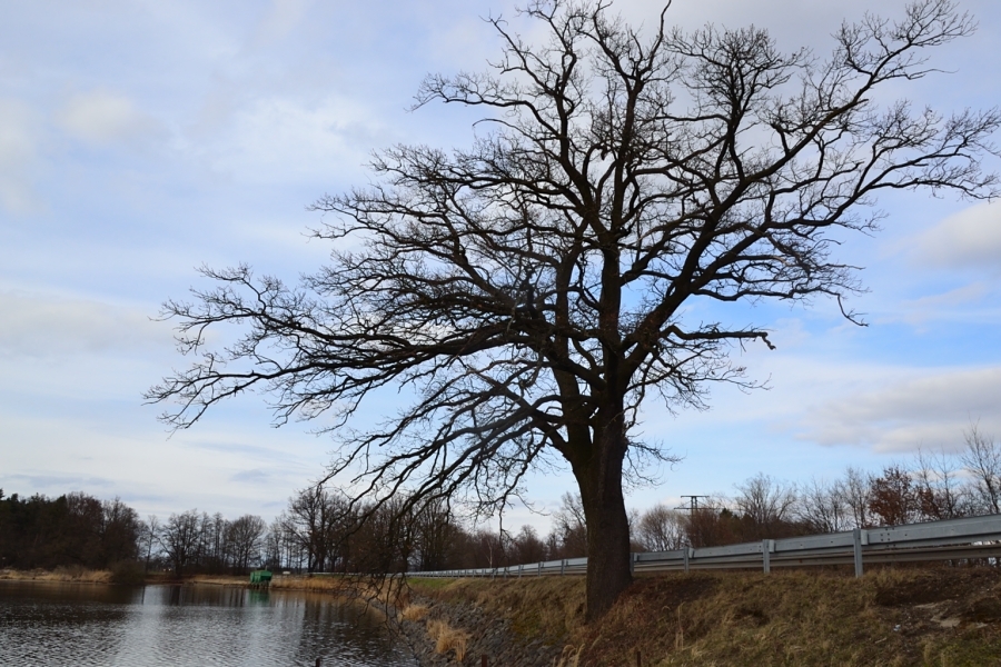 DSC_7646_64565