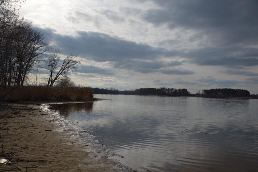 DSC_7660_64576