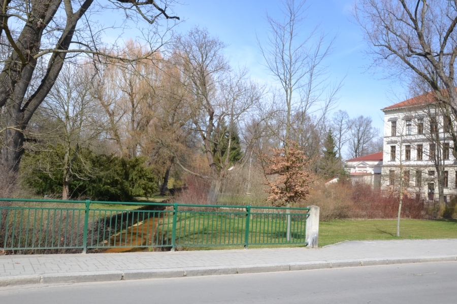 DSC_7697_64586