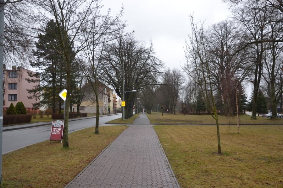 DSC_7542_64468