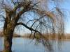 dsc_0129_23126 dsc_0129_23126
