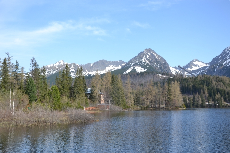 DSC_4899_76606