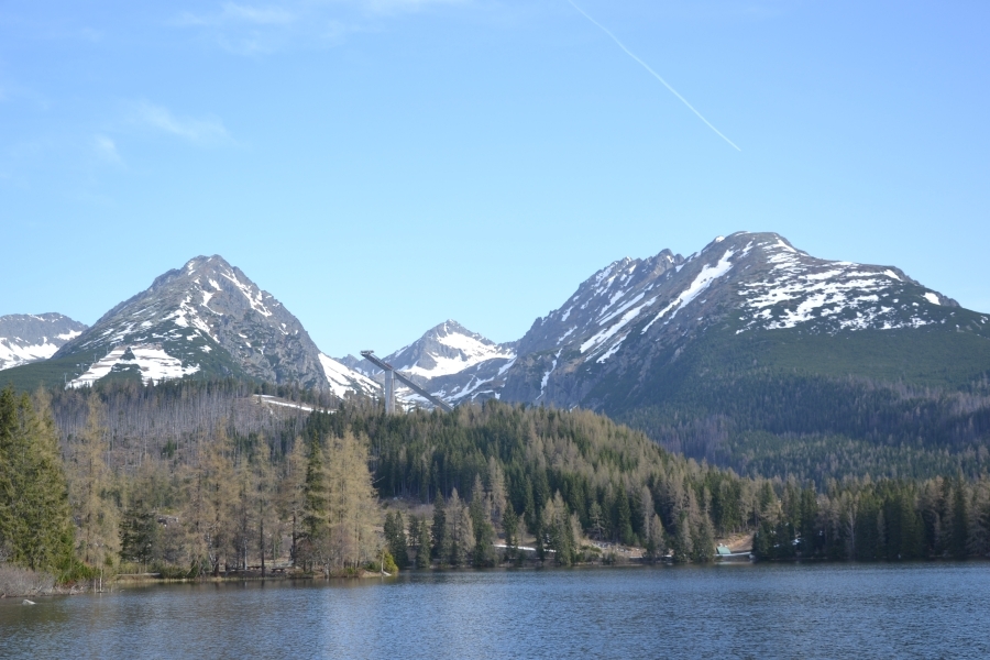 DSC_4900_76607