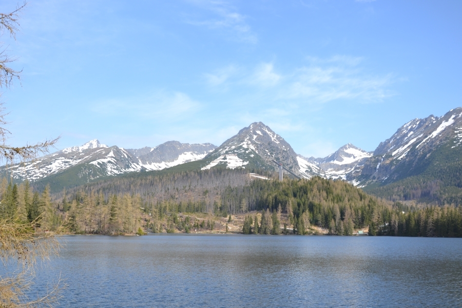 DSC_4918_76624