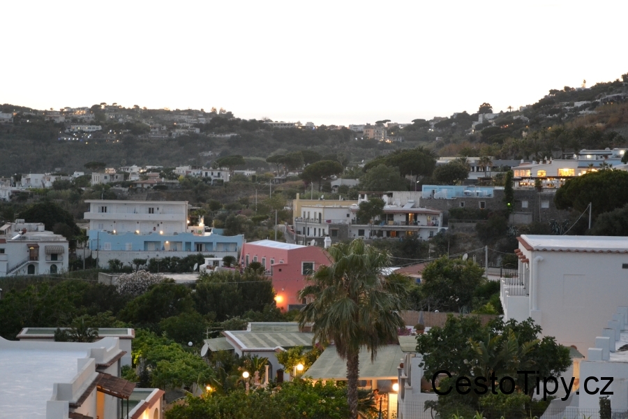 DSC_2803_67929