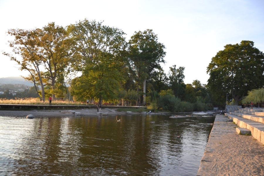 DSC_2478_82389