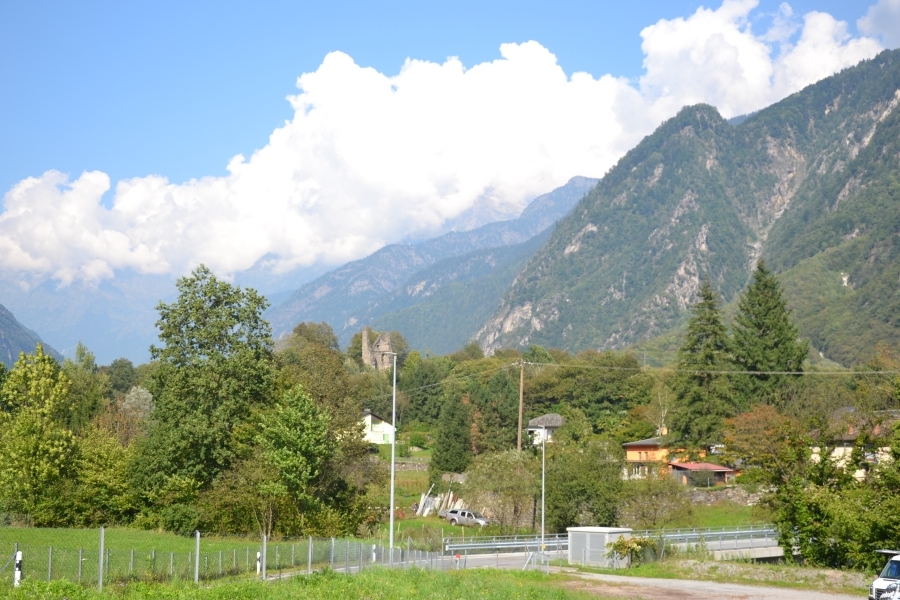 DSC_2770_82677