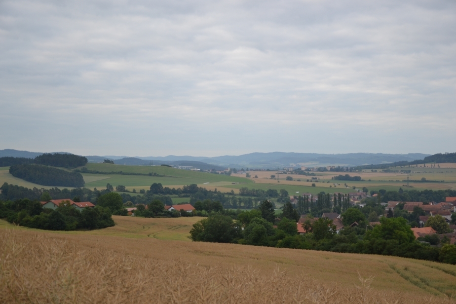 DSC_6882_77954