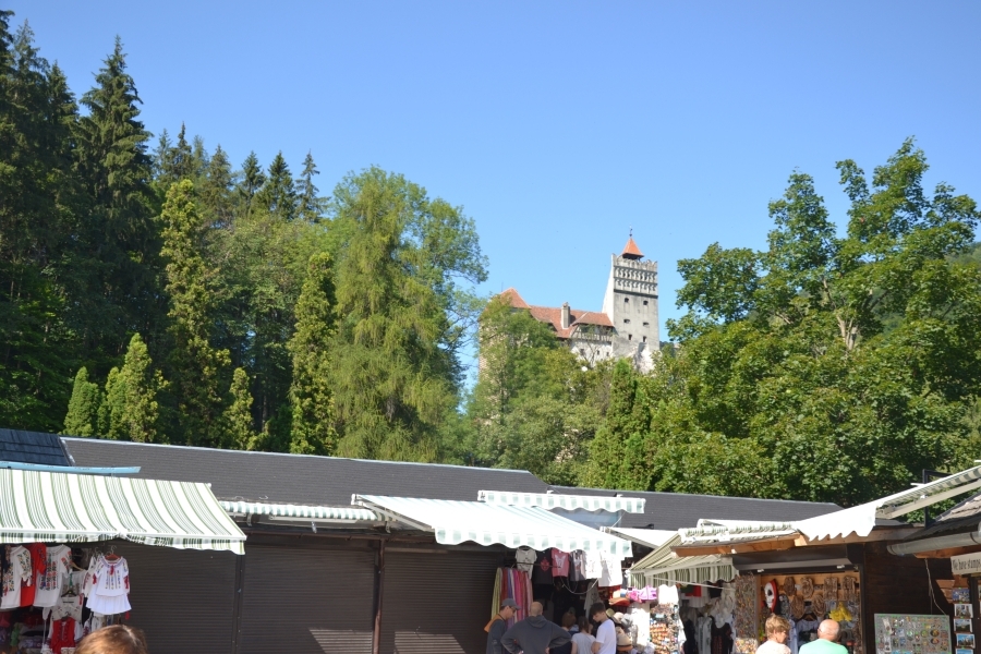 DSC_4393_69338