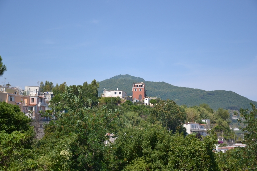 DSC_2941_68063