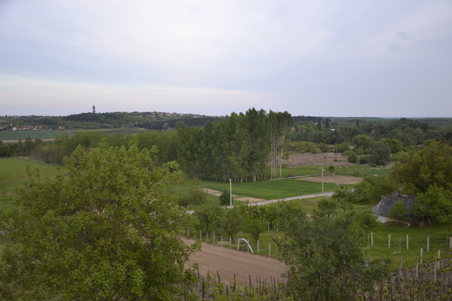 _DSC8861_86386