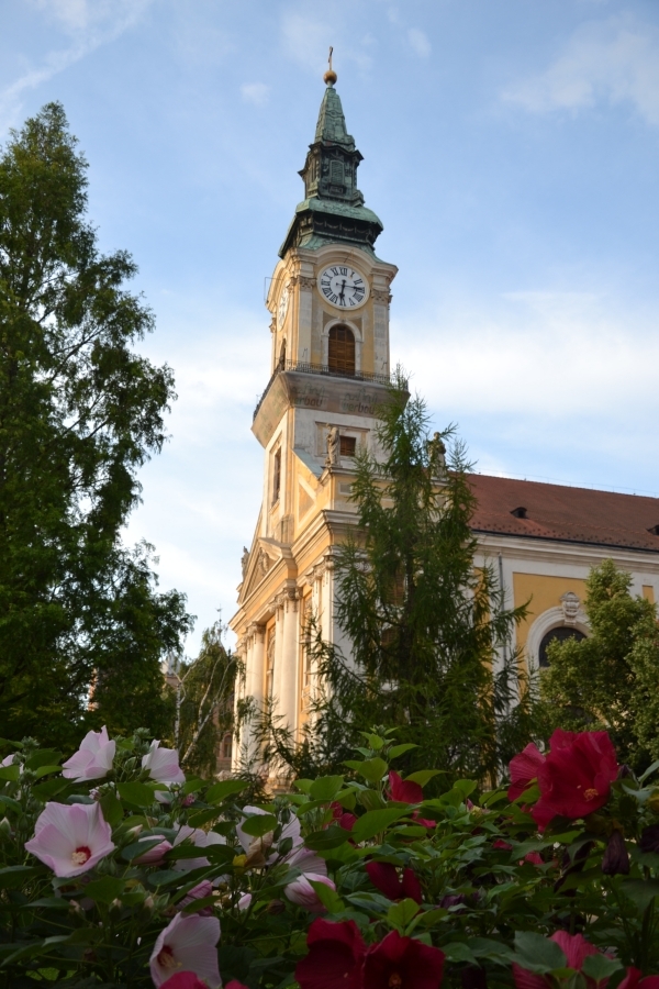 DSC_5469_69278