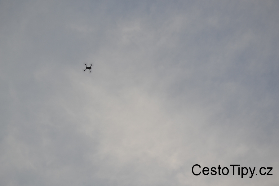 DSC_3484_69699