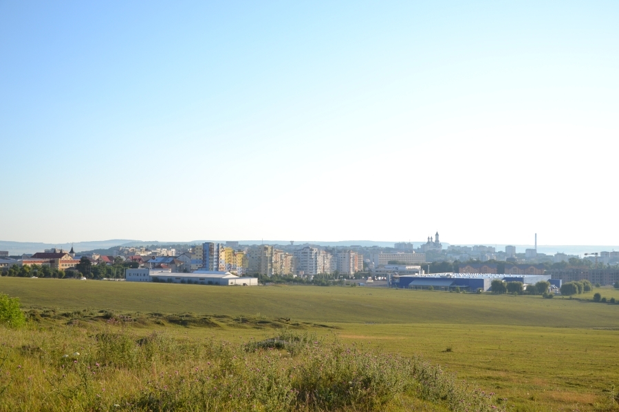 DSC_3867_69725