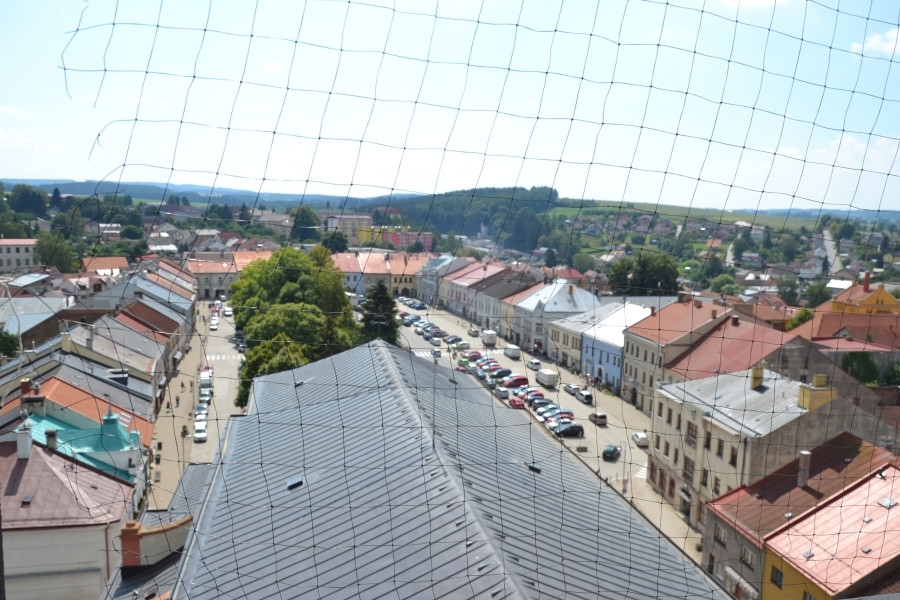 DSC_7359_78424