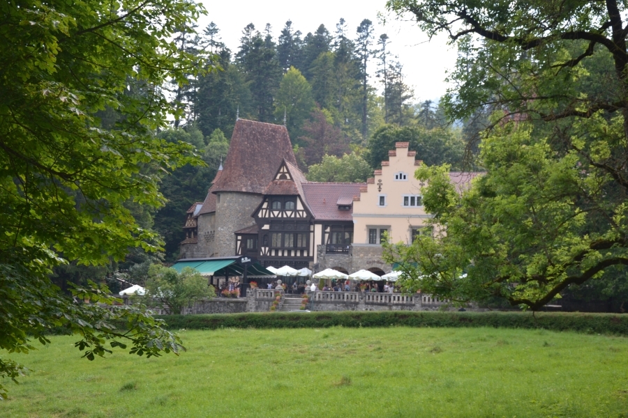 DSC_4956_69684
