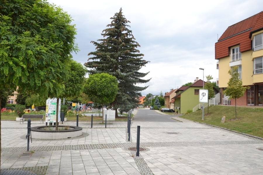 DSC_8728_78923