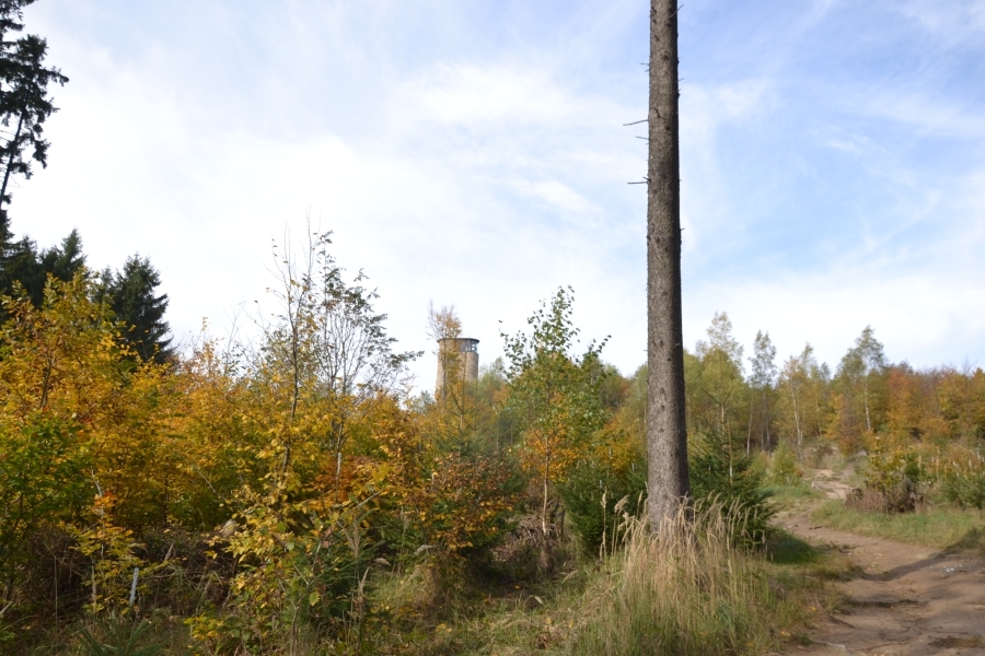 DSC_9335_72297