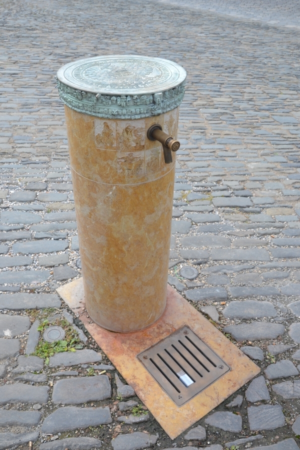 DSC_6094_77371