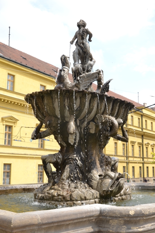 DSC_6105_77382