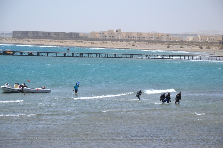 DSC_5623_77002
