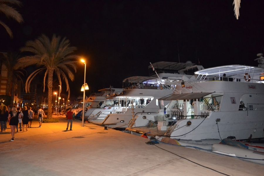 DSC_5792_77064