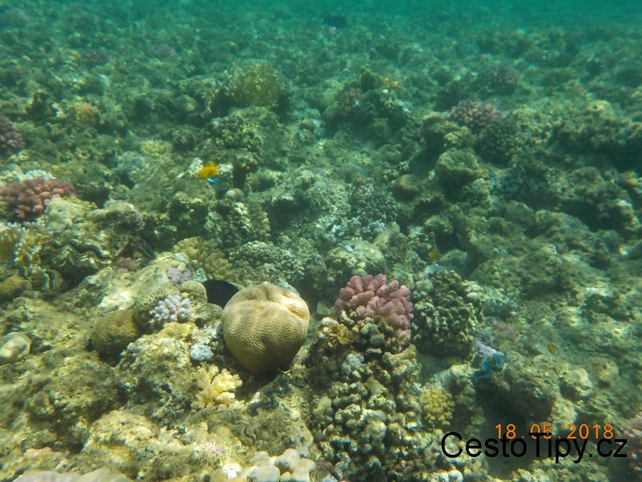 DSCN0206_77112