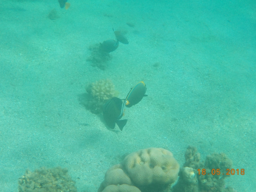 DSCN0296_77157