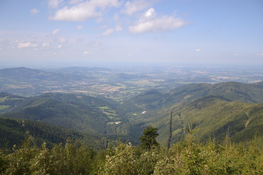 DSC_7552_70891