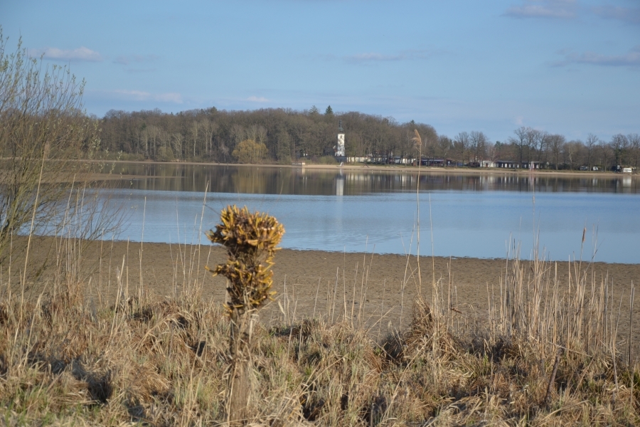 DSC_8090_64922
