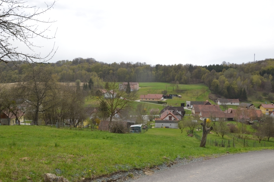 DSC_3897_75807