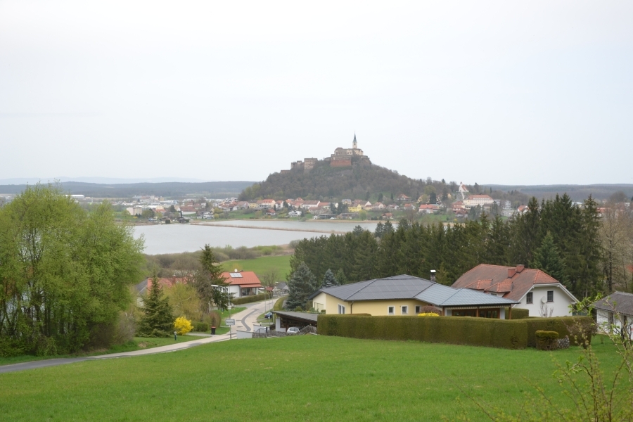 DSC_3901_75811