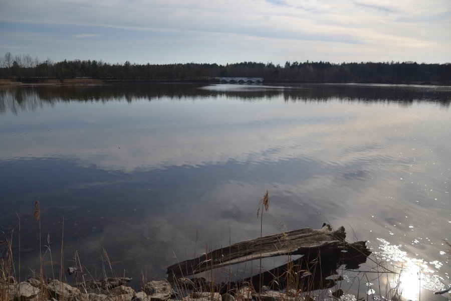 DSC_7762_64651