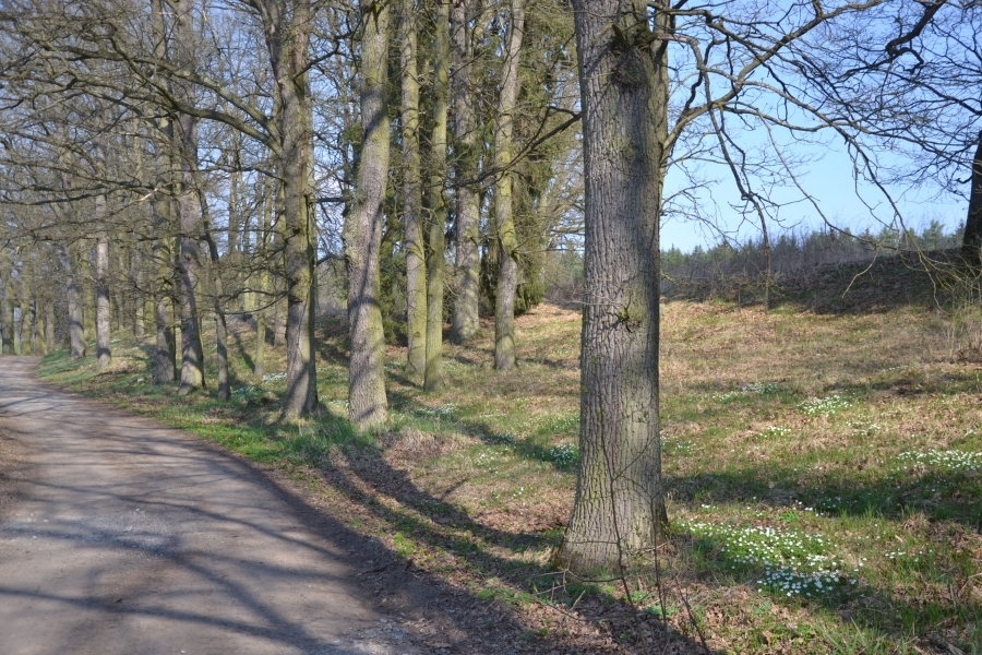 DSC_8257_65154