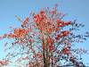 dsc_0353_21842 dsc_0353_21842