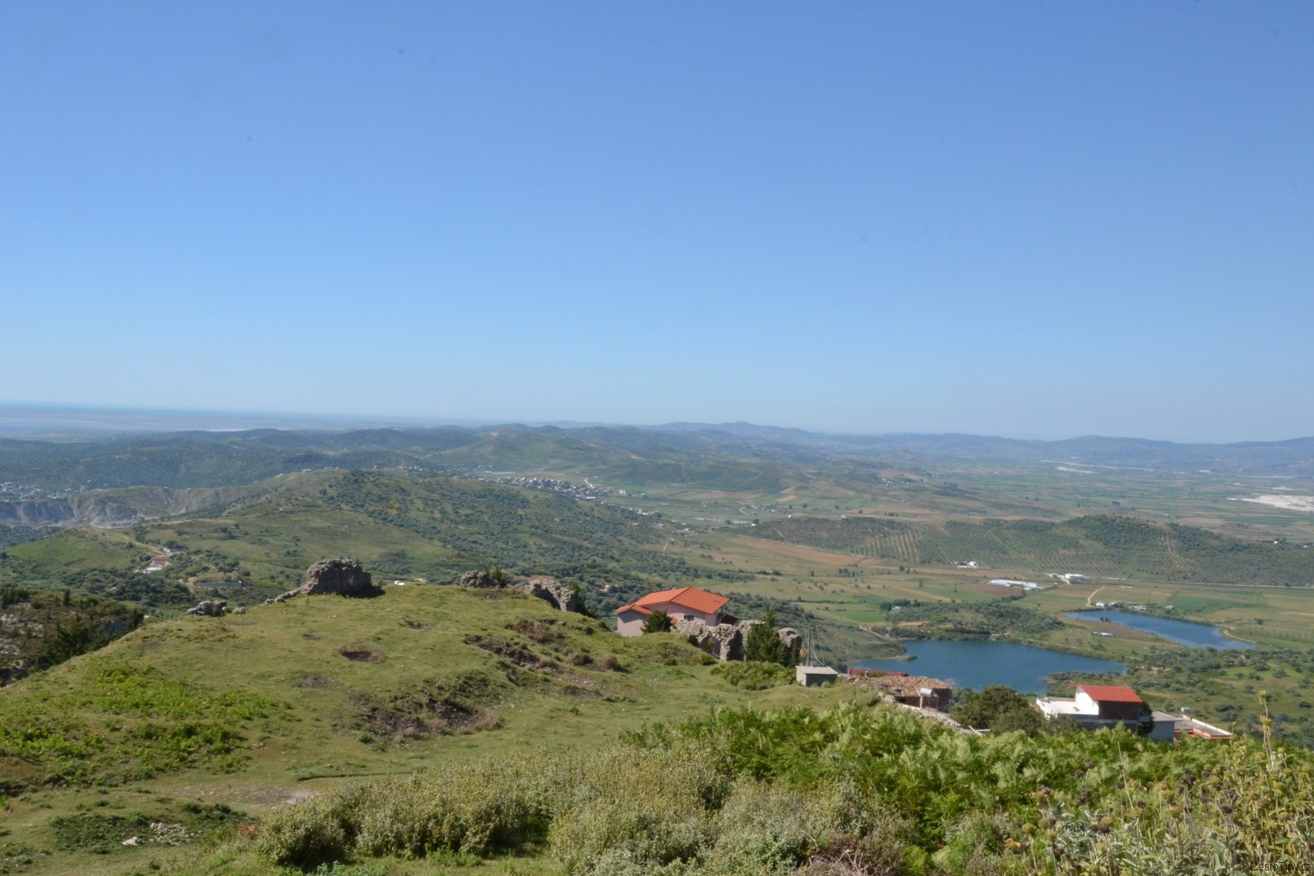 dsc_2001_28357