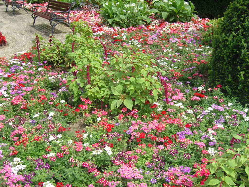 SAMSUNG DIGITAL CAMERA