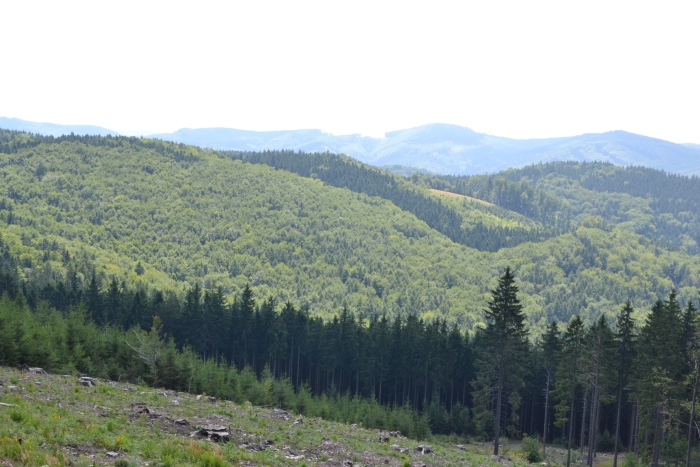 DSC_0051_13179
