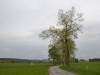 dsc_0229_26952 dsc_0229_26952