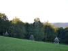 dsc_5390_43542 dsc_5390_43542
