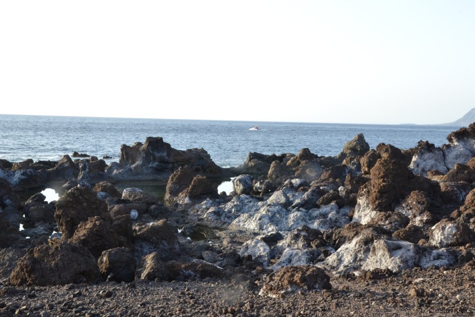 dsc_8116_46226