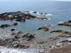 dsc_0598_25043 dsc_0598_25043