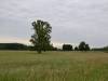 dsc_1099_39421 dsc_1099_39421