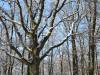 dsc_0025_23022 dsc_0025_23022