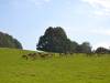 dsc_6176_31607 dsc_6176_31607