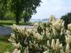 dsc_0458_26666 dsc_0458_26666