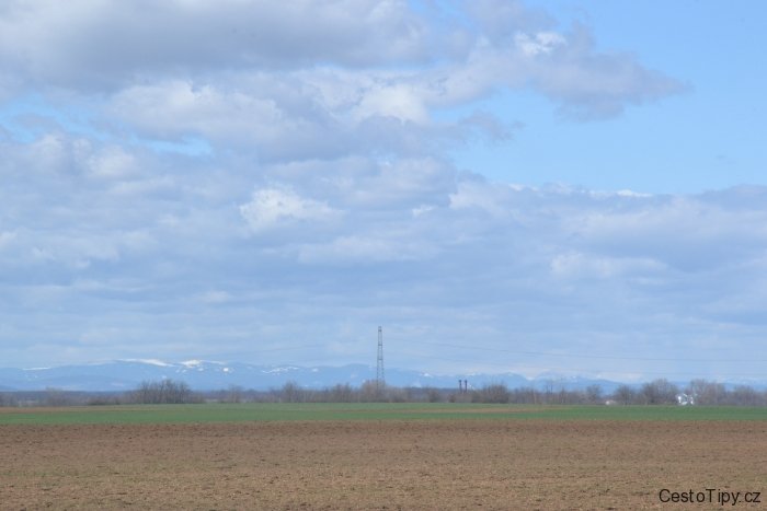 DSC_0888_17637